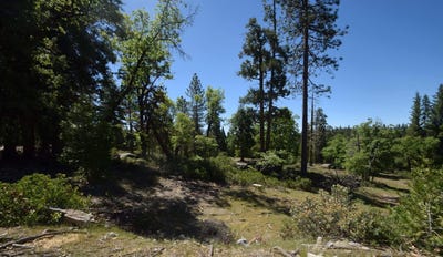 /international/us/42352-opal-lane-shaver-lake-ca-110089194168/
