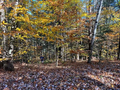 /international/us/lot-2-laurel-lane-wilmot-nh-110104152866/