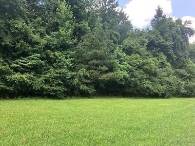 /international/us/lynnwood-cv-adamsville-tn-110098694847/