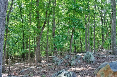 /international/us/148-lookout-ridge-way-rougemont-nc-110101257754/?lang=en