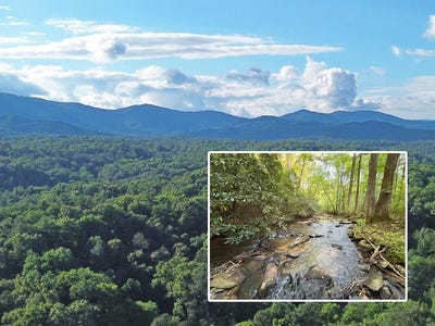 /international/us/lot-18-mt-springer-road-ellijay-ga-110109154580/