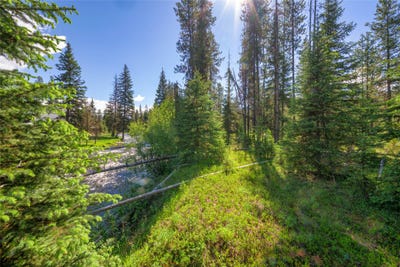 /international/us/nhn-happy-acres-lane-sula-mt-110108935382/