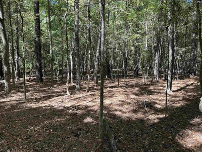 /international/us/156-indian-cove-road-chapin-sc-110120456439/