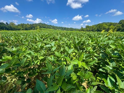 /international/us/0-glades-rd-minford-oh-110096649034/?lang=zh-cn