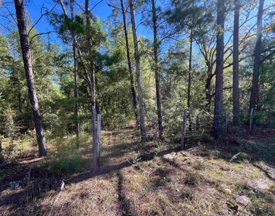/international/us/old-federal-road-quincy-fl-110107259640/