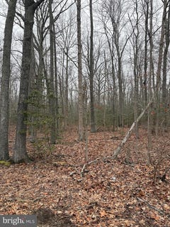 /international/us/5280-cedar-street-west-river-md-110106223659/