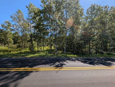 /international/us/l19-12-south-st-windham-ny-110104259459/