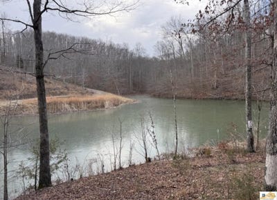 /international/us/3900-sparksville-road-columbia-ky-110105069393/