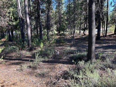 /international/us/2-pine-creek-loop-crescent-lake-or-110100879041/