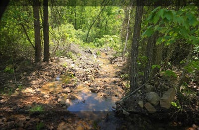/international/us/2425262728293031-long-creek-pass-albion-ok-110099862334/