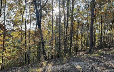 /international/us/allison-drive-lot-7-mccalla-al-110105049211/