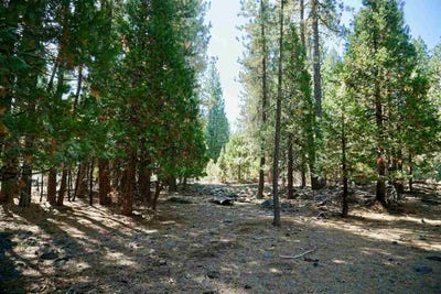 /international/us/8-huchnom-trail-graeagle-ca-110078989589/