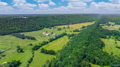 /international/us/6654-county-road-223-collinsville-al-110100864844/?lang=zh-tw