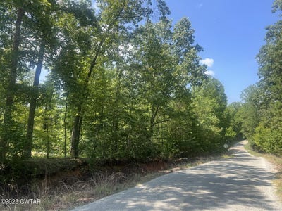 /international/us/00-butler-lot-31-road-pinson-tn-110101195866/