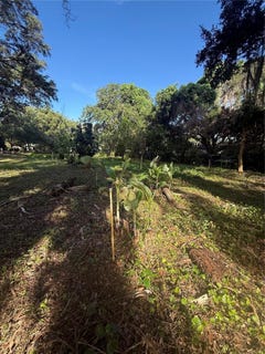 /international/us/orange-avenue-sanford-fl-110120418542/