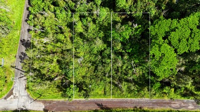 /international/us/forest-rd-pahoa-hi-110110368691/