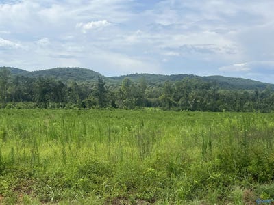 /international/us/3215-hwy-68-e-gaylesville-al-110101026385/