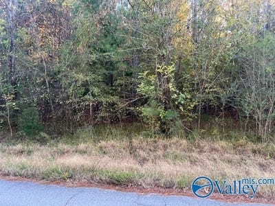 /international/us/martin-road-rainbow-city-al-110103316565/