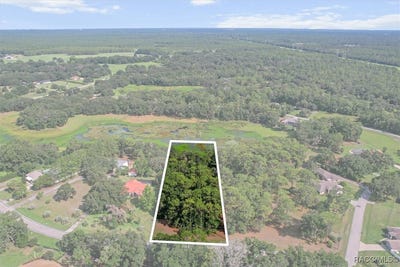 /international/us/9392-w-emerald-oaks-drive-crystal-river-fl-110101116090/?lang=en