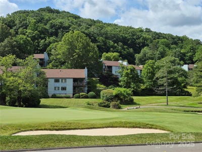 /international/us/87-willow-road-waynesville-nc-110100564182/