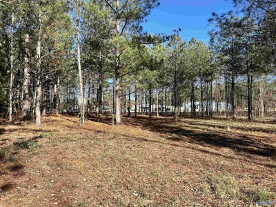 /international/us/5-61-acres-hwy-9-centre-al-110106560872/