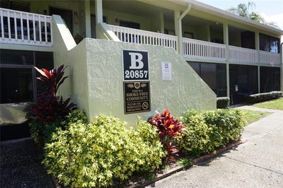 /international/us/20857-haulover-cove-lutz-fl-110109614064/