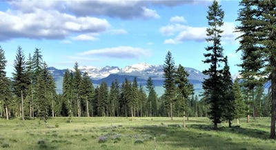 /international/us/865-remicks-road-swan-valley-mt-110090158236/