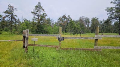 /international/us/witte-trail-lovells-mi-110100915897/?lang=zh-tw