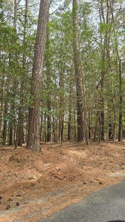 /international/us/92-folly-creek-rd-lot-92-accomac-va-110107203283/