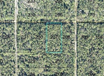 /international/us/207-donna-street-hastings-fl-110120089661/