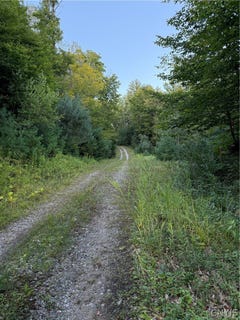/international/us/river-road-lot-2-boonville-ny-110109969621/
