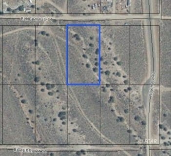 /international/us/066020003-blue-ridge-street-elko-nv-110103660288/
