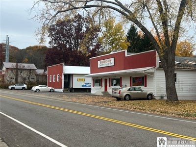 /international/us/320-maple-avenue-stockton-ny-110095707247/