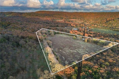 /international/us/19137-vineyard-road-canehill-ar-110103681878/