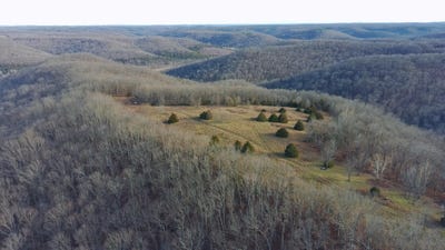 /international/us/406-red-bridge-rd-ozark-mo-110108015952/