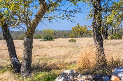 /international/us/stock-pond-dr-lot-114-harper-tx-110107052960/