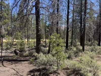 /international/us/munson-drive-chiloquin-or-110101365287/