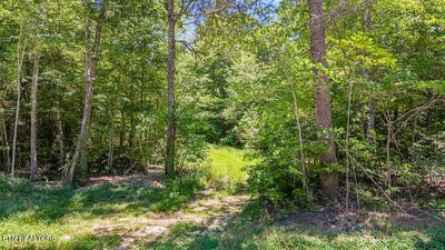 /international/us/twin-bridge-rd-deer-lodge-tn-110093057506/