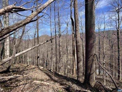 /international/us/beech-grove-rd-roseland-va-110104519834/