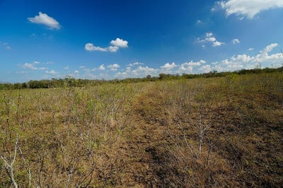 /international/us/lot-12-county-road-447-waelder-tx-110103205815/