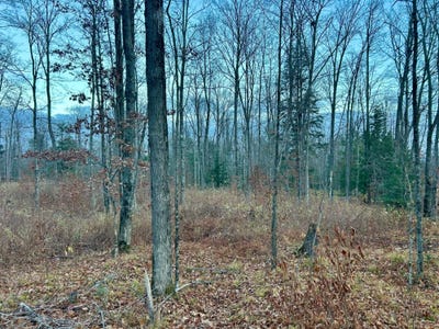 /international/us/old-elcho-rd-lot-2-pelican-lake-wi-110103495759/