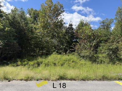/international/us/e-taxiway-drive-lot-18-albany-ky-110110353980/