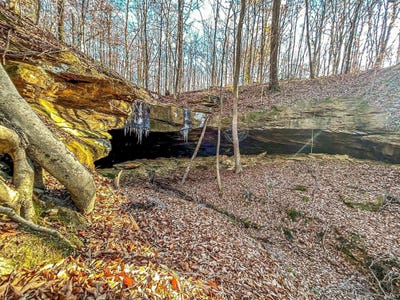 /international/us/0-chestnut-grove-road-tell-city-in-110096703459/