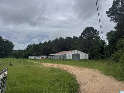 /international/us/1293-county-road-196-haleyville-al-110100030742/
