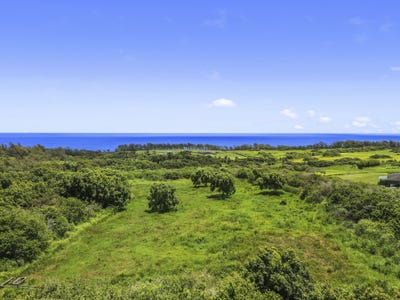 /international/us/53-338-kapanaia-rd-kapaau-hi-110096948194/