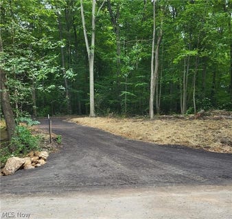 /international/us/13561-colony-lane-burton-oh-110107824086/