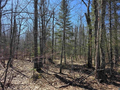 /international/us/xxx-stark-rd-cloquet-mn-110106813365/