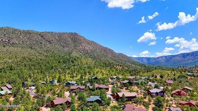 /international/us/drumecho-cir-lots-12-13-pine-az-110120426627/