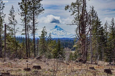 /international/us/lot-2-plantation-dr-white-salmon-wa-110091240272/