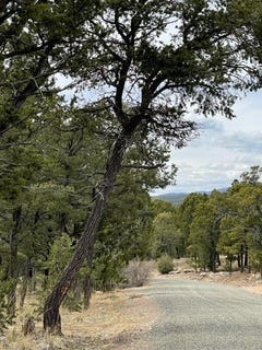 /international/us/16-wild-wings-circle-pecos-nm-110085803549/